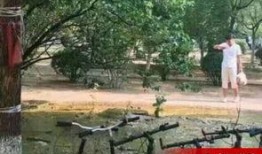 济南事件最新爆料,惊人内幕揭露真相